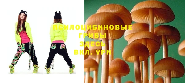 тгк Зеленодольск