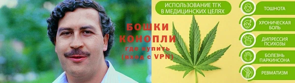 ПСИЛОЦИБИНОВЫЕ ГРИБЫ Инта