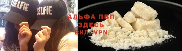 ГАЛЛЮЦИНОГЕННЫЕ ГРИБЫ Инсар
