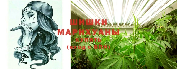 ПСИЛОЦИБИНОВЫЕ ГРИБЫ Инта