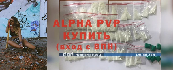 ГАЛЛЮЦИНОГЕННЫЕ ГРИБЫ Инсар