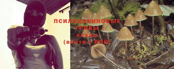 марки nbome Иннополис