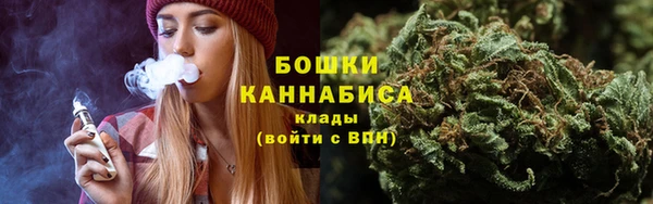 сатива Зеленокумск