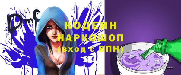 ПСИЛОЦИБИНОВЫЕ ГРИБЫ Инта
