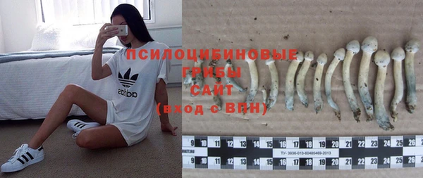 ГАЛЛЮЦИНОГЕННЫЕ ГРИБЫ Инсар